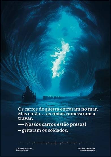 Prancheta-1-copia-28-80-copiar